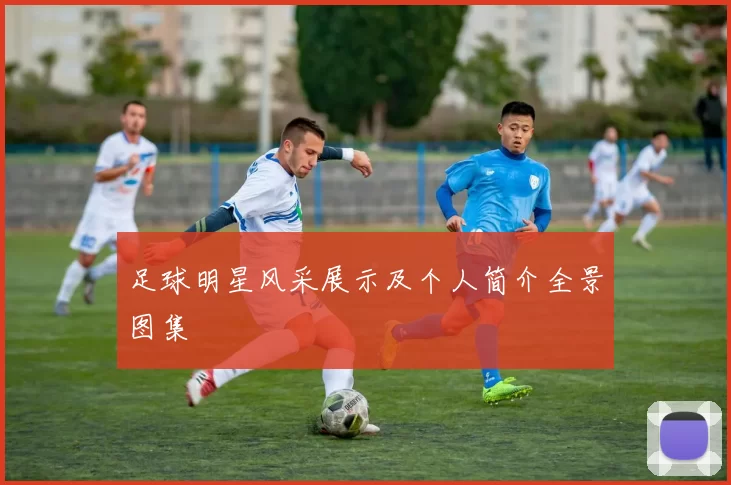足球明星风采展示及个人简介全景图集