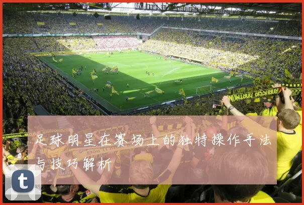 足球明星在赛场上的独特操作手法与技巧解析