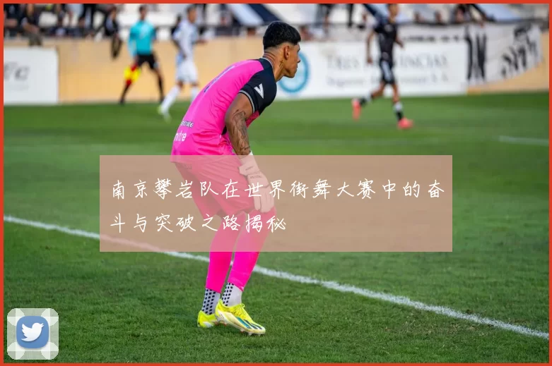 南京攀岩队在世界街舞大赛中的奋斗与突破之路揭秘