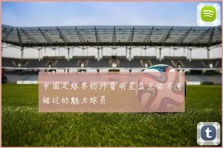 中国足球界的帅哥明星盘点你不可错过的魅力球员