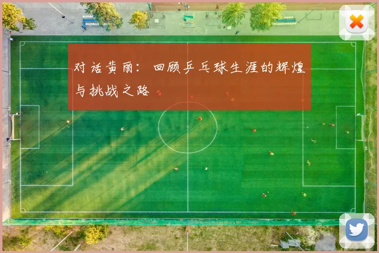 对话黄丽：回顾乒乓球生涯的辉煌与挑战之路