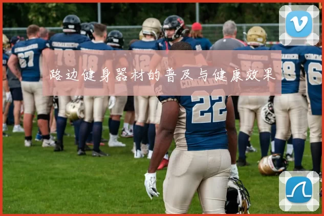 路边健身器材的普及与健康效果