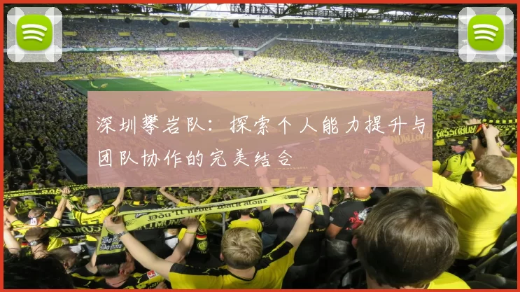 深圳攀岩队：探索个人能力提升与团队协作的完美结合
