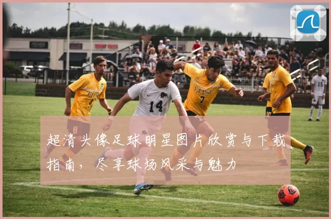 超清头像足球明星图片欣赏与下载指南，尽享球场风采与魅力