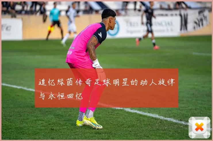 追忆绿茵传奇足球明星的动人旋律与永恒回忆