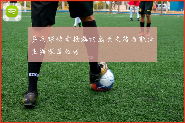 乒乓球传奇杨磊的成长之路与职业生涯深度对话