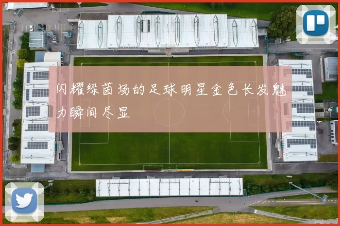闪耀绿茵场的足球明星金色长发魅力瞬间尽显