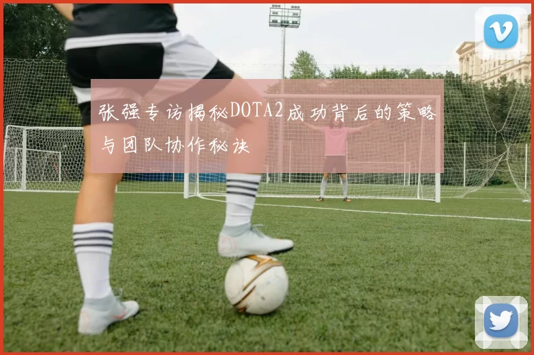 张强专访揭秘DOTA2成功背后的策略与团队协作秘诀