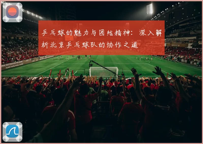 乒乓球的魅力与团结精神：深入解析北京乒乓球队的协作之道