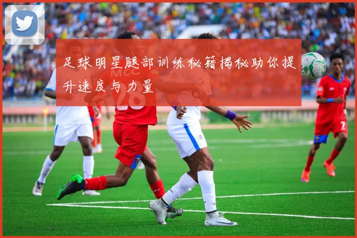 足球明星腿部训练秘籍揭秘助你提升速度与力量