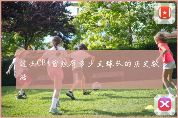 过去CBA曾经有多少支球队的历史数据