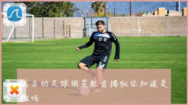 离去的足球明星配音揭秘你知道是谁吗