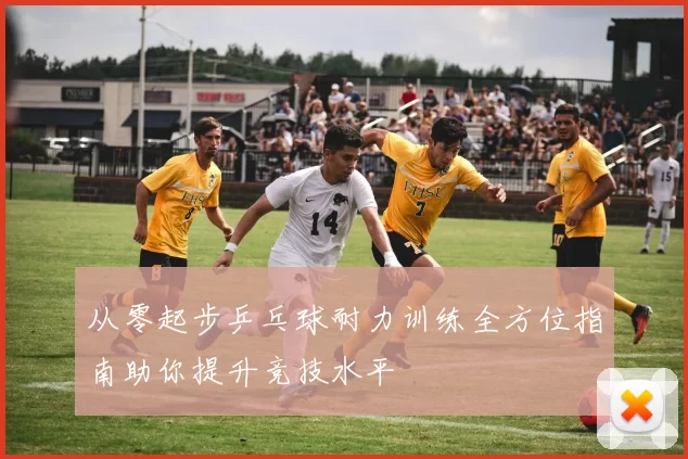 从零起步乒乓球耐力训练全方位指南助你提升竞技水平