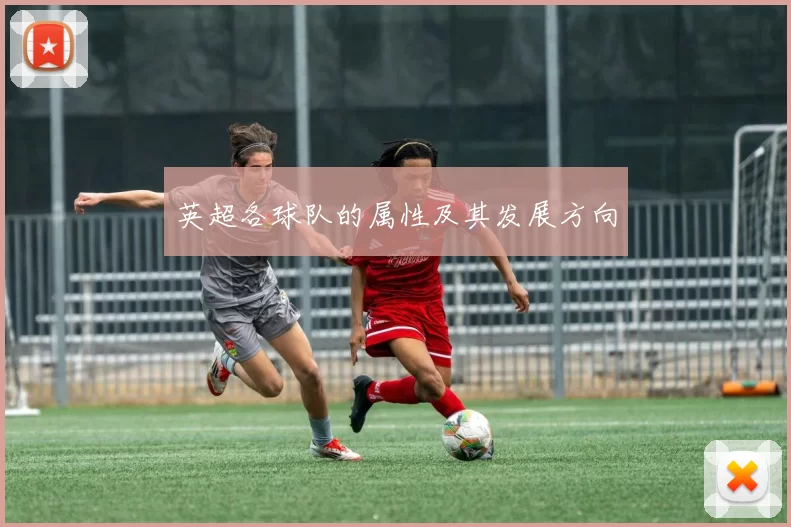 英超各球队的属性及其发展方向