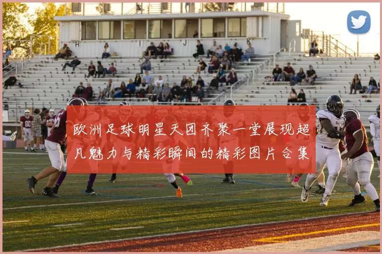 欧洲足球明星天团齐聚一堂展现超凡魅力与精彩瞬间的精彩图片合集