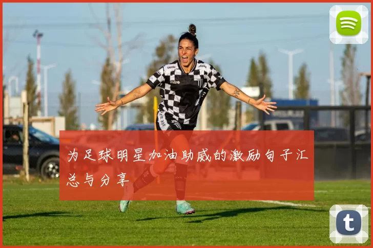 为足球明星加油助威的激励句子汇总与分享