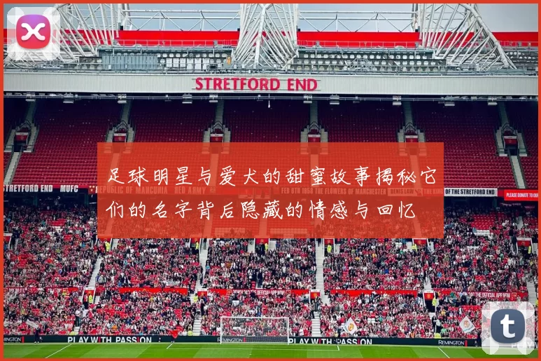 足球明星与爱犬的甜蜜故事揭秘它们的名字背后隐藏的情感与回忆