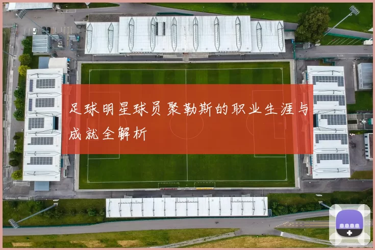 足球明星球员聚勒斯的职业生涯与成就全解析