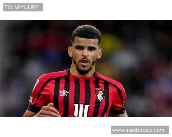 英超哪个球队最强:英超最强球队的历史表现与当前排名分析 英超哪个球队最强:英超最强球队的历史表现与当前排名分析