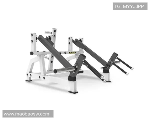 黄金组数法则：不同健身器材的最佳训练组合方案