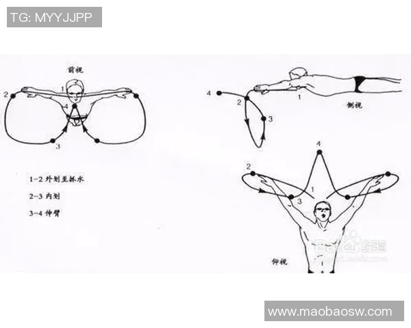 提高蛙泳技巧的有效训练方法与技巧步骤解析